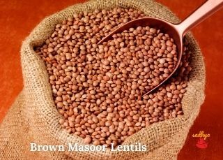 Legumes And Lentils Names in English Hindi Malayalam with pictures