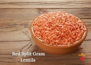 Legumes And Lentils Names in English Hindi Malayalam with pictures